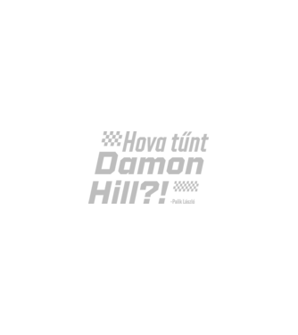 Hova tűnt Damon Hill?! - Palik László minta homokszín pólón