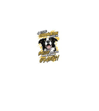 Border Collie Gyanús csend minta homokszín pólón