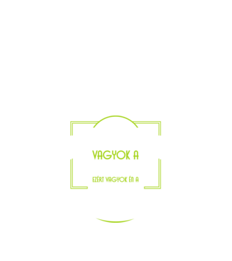 Büszke vagyok a szakmámra DJ minta fekete pólón