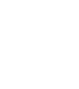 Szülinapos Crazy Cat Ladies NOVEMBER minta fekete pólón
