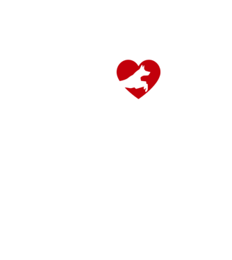 Kutyás srác minta fekete/piros pólón