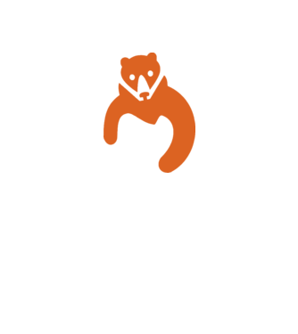 Orange Bear minta homokszín pólón