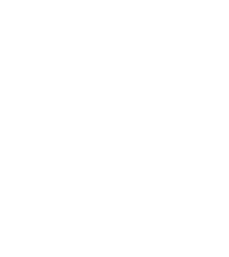 Szülinapos Crazy Cat Ladies DECEMBER minta fekete pólón