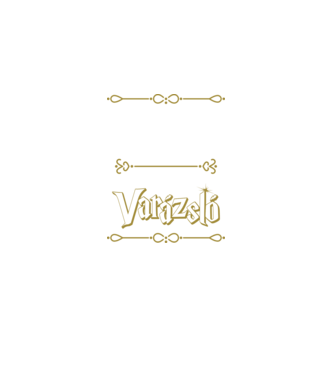 Gyógyszerész vagyok nem varázsló minta fekete pólón