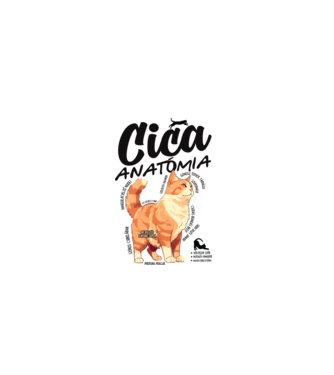 Cica anatómia vörös minta fehér pólón