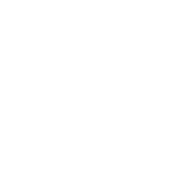 Szülinapos Crazy Cat Ladies MÁJUS minta neonsárga pólón