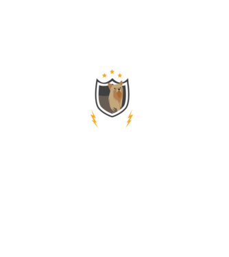 Biztonsági szolgálat Yorkshire terrier minta fekete pólón