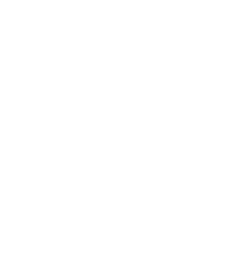 VINTAGE PERFECTION 2015 minta fehér pólón