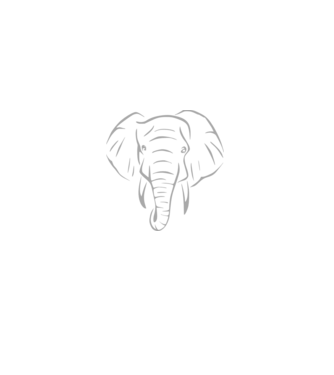 elefant minta sárga pólón