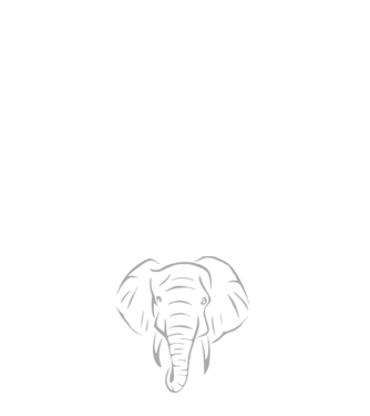 elefant minta fehér pólón
