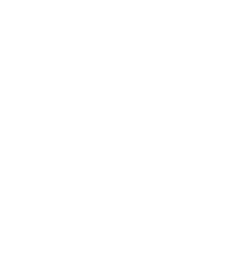 VINTAGE PERFECTION 2015 minta fekete pólón