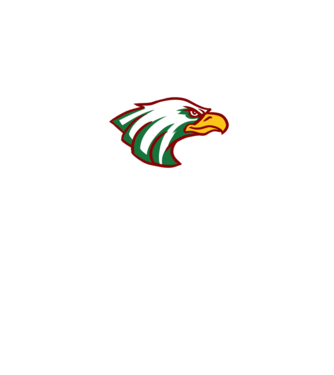 eagles logo minta királykék pólón