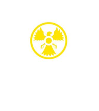 atomfőnix minta fekete pólón