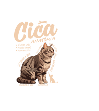 Cica anatómia cirmos minta fekete pólón