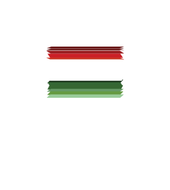 magyar_zaszlo_3 minta fehér pólón