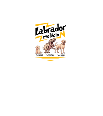 LABRADOR evolúció minta fehér pólón