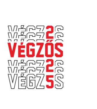 VÉGZŐS 2025 fekete minta világoskék pólón