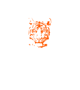 Tigris minta fehér pólón