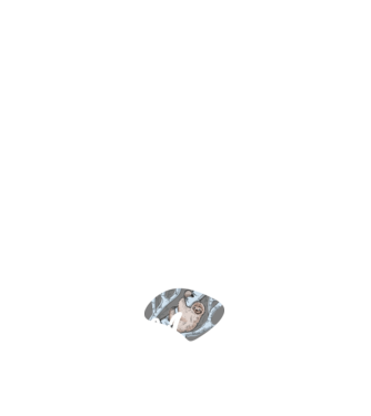 what does the sloth say minta sötétkék pólón