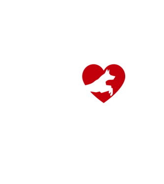 Kutyás srác minta fehér pólón