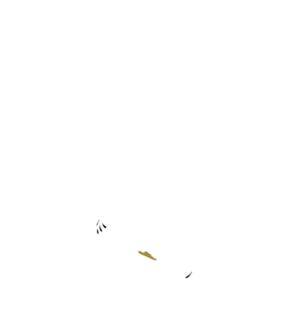 Rollin' minta fehér pólón