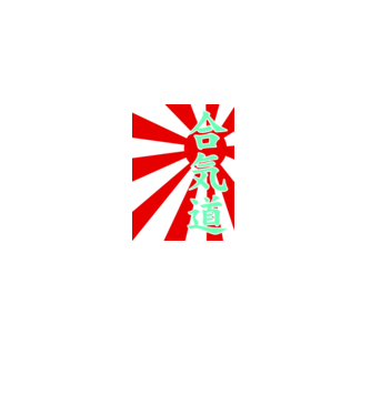 aikido-kanji7 minta fehér pólón