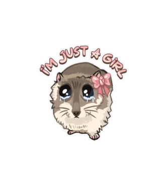 Sad coquette hamster meme felirattal minta fehér pólón
