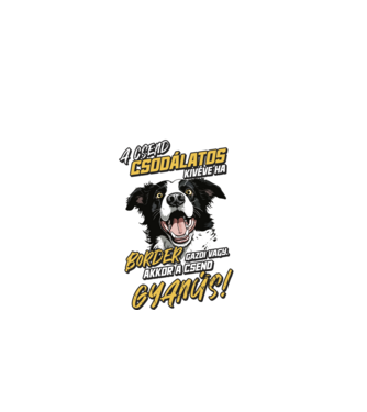 Border Collie Gyanús csend minta fekete pólón