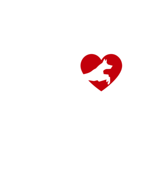 Kutyás sportos srác minta fehér pólón