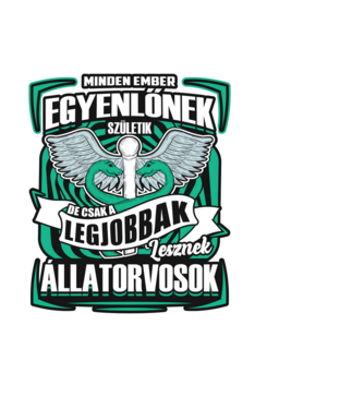 Mindenki egyenlőnek születik minta fekete pólón
