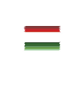 magyar_zaszlo_3 minta fehér pólón