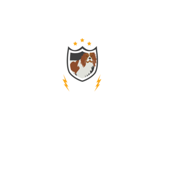 Biztonsági szolgálat Cavalier King Charles spániel minta fekete pólón