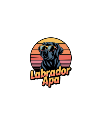 Labrador Apa minta fekete pólón
