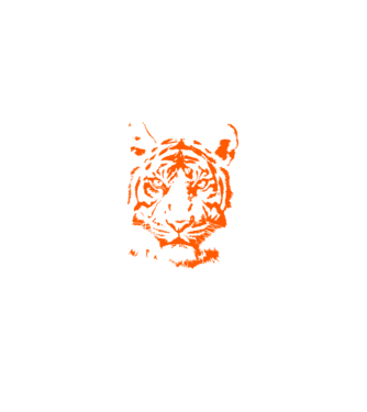 Tigris minta fehér pólón