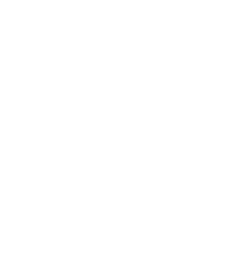 LOVE Border Collie  minta fekete pólón