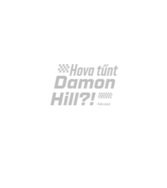 Hova tűnt Damon Hill?! - Palik László minta homokszín pólón