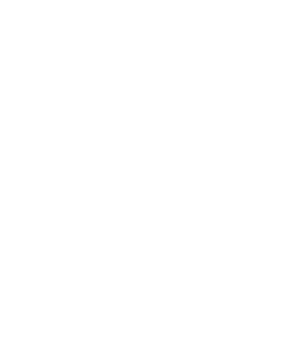 LOVE Border Collie  minta fekete pólón