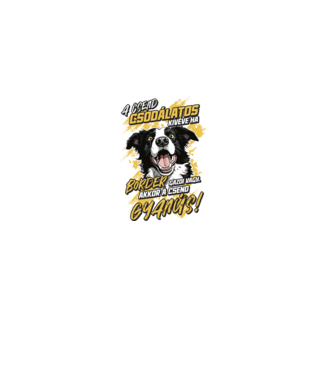 Border Collie Gyanús csend minta fehér pólón