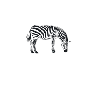 Zebra minta fehér pólón