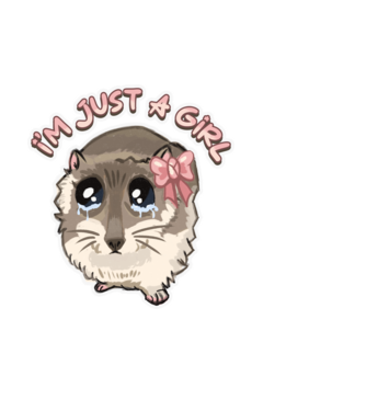 Sad coquette hamster meme felirattal minta fehér pólón