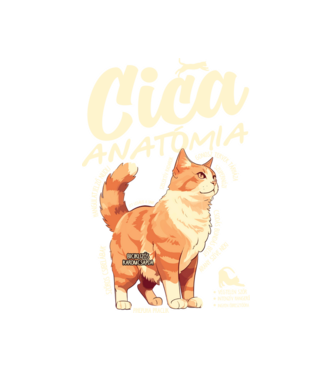 Cica anatómia vörös minta fehér pólón