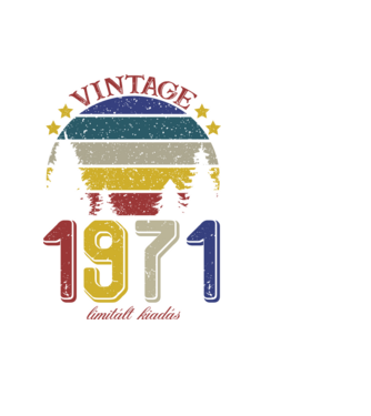 vintage_limitált kiadás 1971 minta fehér pólón