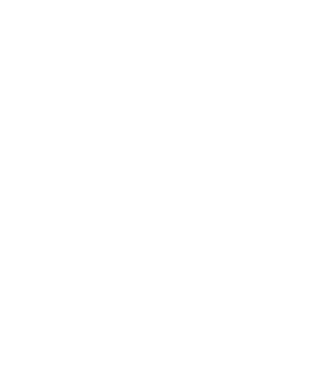 LOVE Border Collie  minta fekete pólón