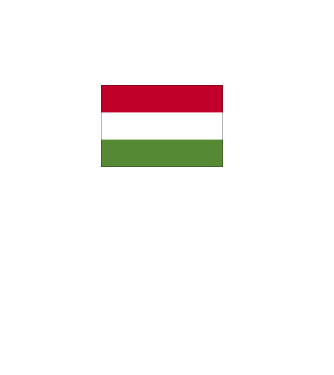 Magyar Szájmaszk minta fehér pólón