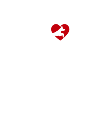 Kutyás sportos srác minta fekete/piros pólón