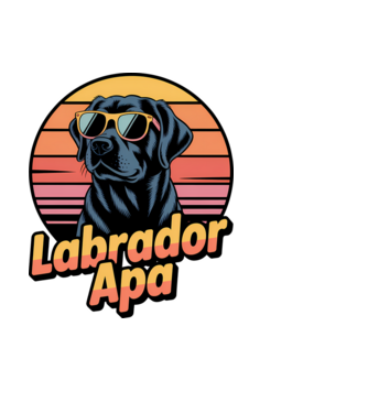 Labrador Apa minta fekete pólón