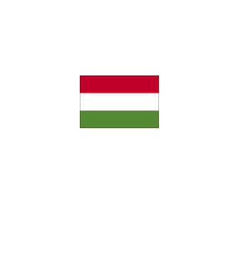 Magyar Szájmaszk minta fehér pólón