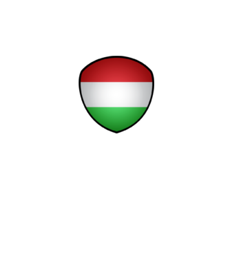 Magyar zászló minta fehér pólón