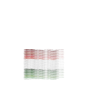 Magyar minta fehér pólón