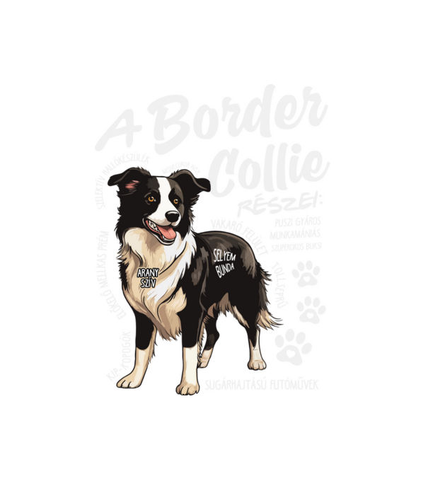 Border Collie részei minta fehér pólón